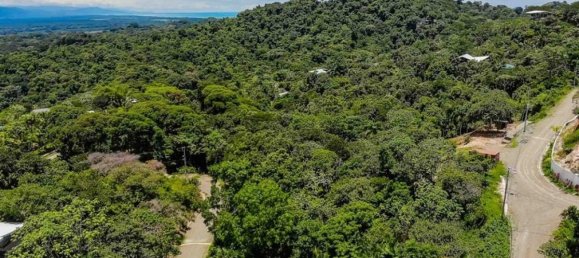  Land in Savegre, Costa Rica No. 2037 6