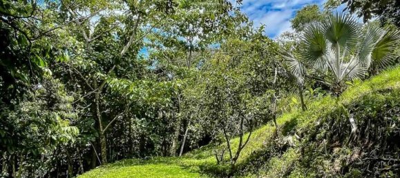  Land in Savegre, Costa Rica No. 2037 4