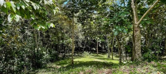  Land in Savegre, Costa Rica No. 2037 5