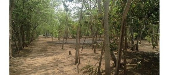  Land in Liberia, Costa Rica No. 1642 6