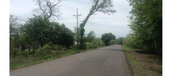  Land in Liberia, Costa Rica No. 1642 5