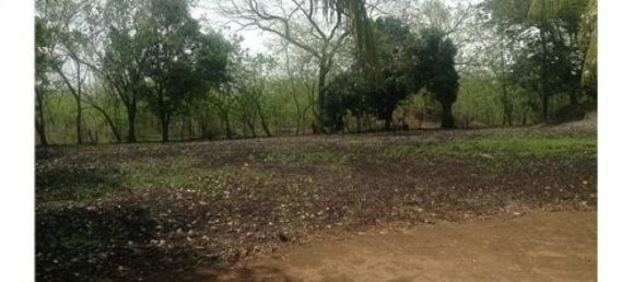  Land in Liberia, Costa Rica No. 1642 3