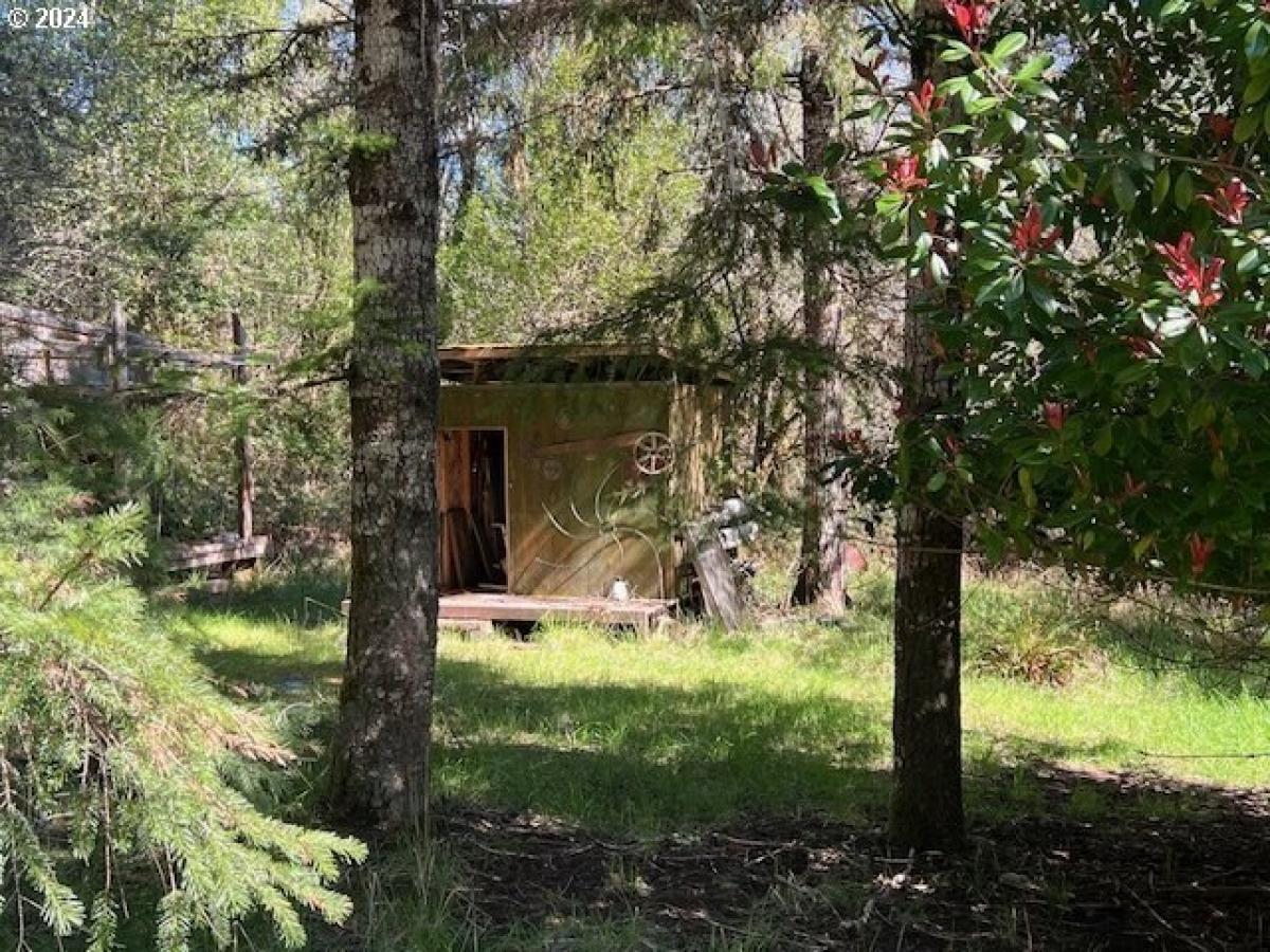 2 bedrooms House in Coquille, USA No. 428389