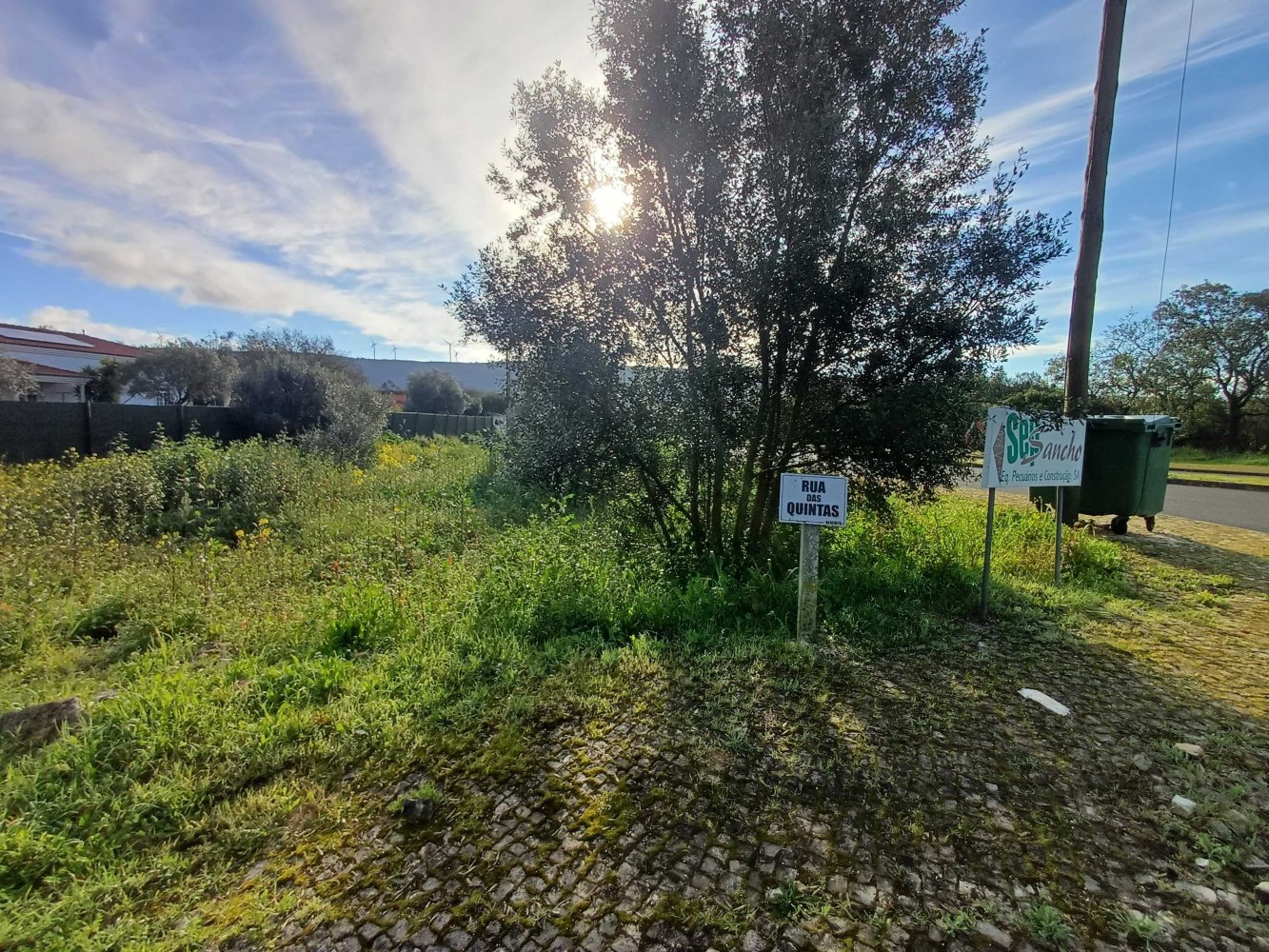  Land in Alcobaca, Portugal No. 338116