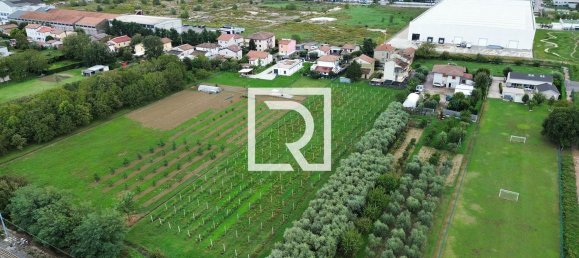 6-salle Maison à Forlimpopoli, Italy No. 24962 23