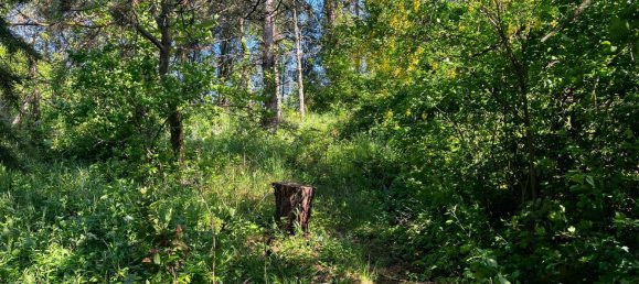 Casa de 3 habitaciónes en Angern an der March, Austria No. 238403 13