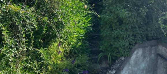 Casa de 3 habitaciónes en Angern an der March, Austria No. 238403 11