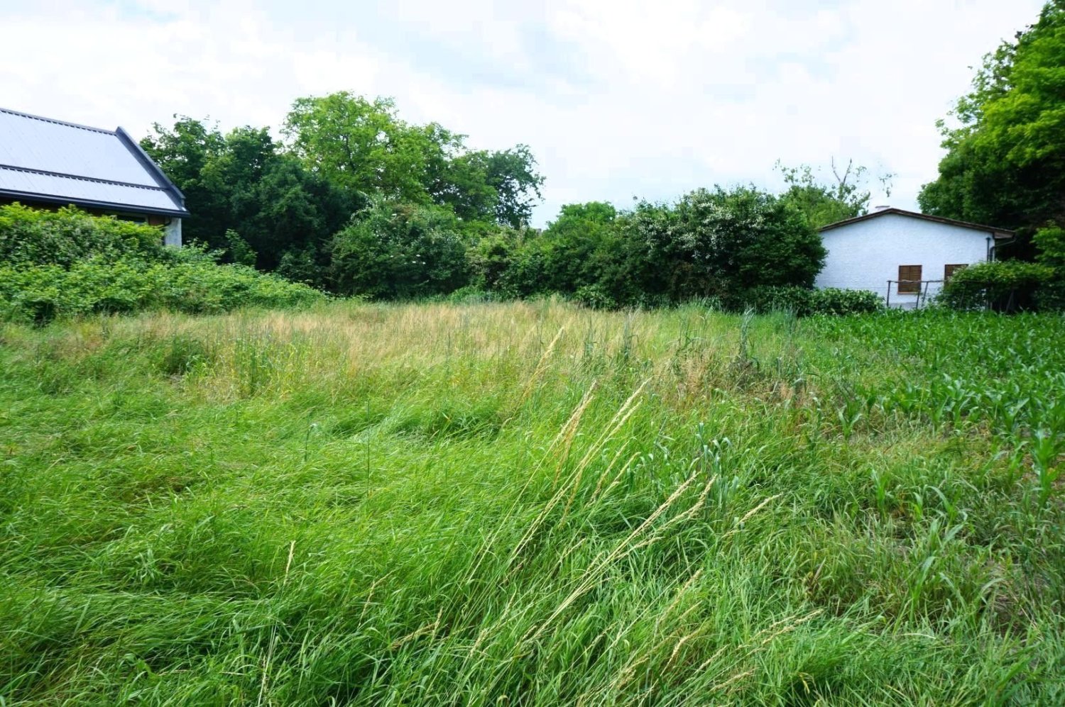 قطعة أرض في Traismauer, Austria رقم 15571