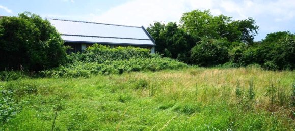  قطعة أرض في Traismauer, Austria رقم 15571 4