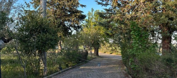 4-Zimmer Haus in Collecorvino, Italy, Nr. 303089 14