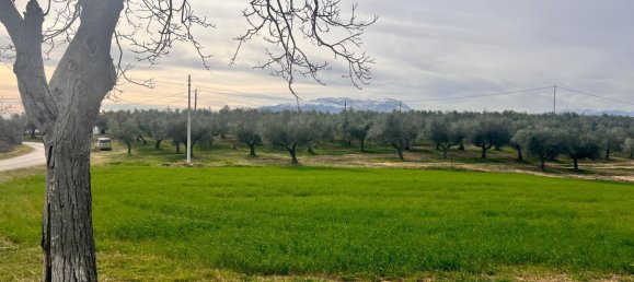 4-Zimmer Haus in Collecorvino, Italy, Nr. 303089 3