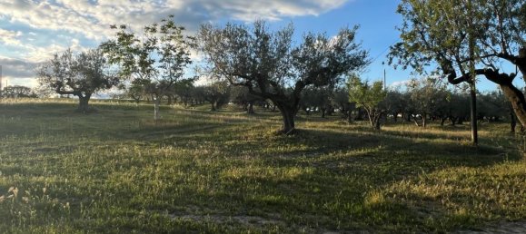 4-Zimmer Haus in Collecorvino, Italy, Nr. 303089 16