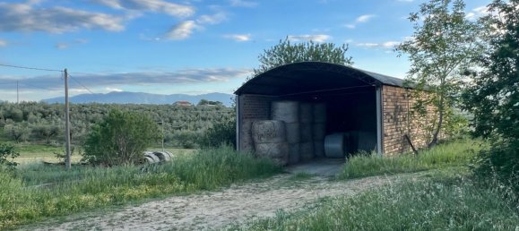 4-Zimmer Haus in Collecorvino, Italy, Nr. 303089 42