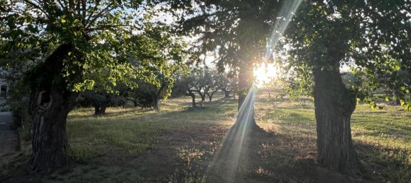 4-Zimmer Haus in Collecorvino, Italy, Nr. 303089 18