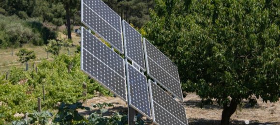 4 bedrooms House in Chaves, Portugal No. 22288 24