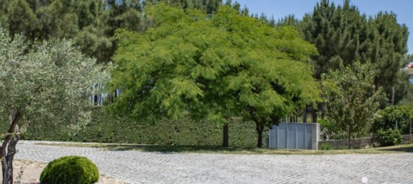 4 bedrooms House in Chaves, Portugal No. 22288 21