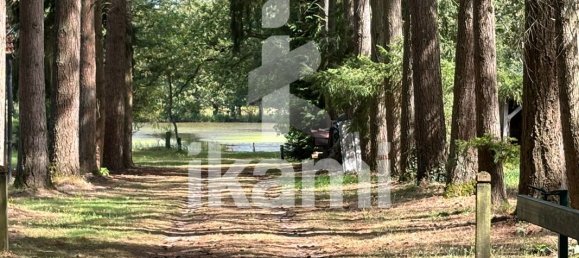  Castillos de 4 dormitorios en Vernou-en-Sologne, France No. 248248 11