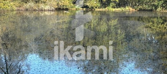  Castillos de 4 dormitorios en Vernou-en-Sologne, France No. 248248 10