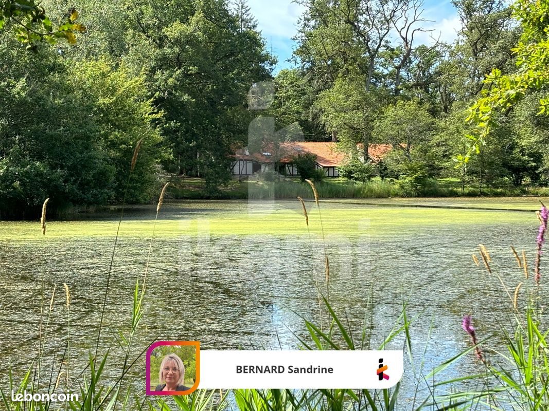  Castillos de 4 dormitorios en Vernou-en-Sologne, France No. 248248