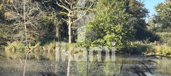  Castillos de 4 dormitorios en Vernou-en-Sologne, France No. 248248 4