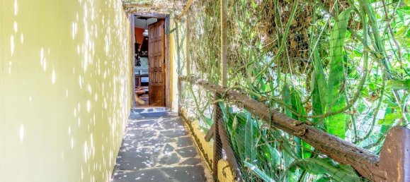 4 Schlafzimmer Stadthaus in La Guancha, Spain, Nr. 184677 5