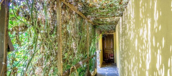 4 Schlafzimmer Stadthaus in La Guancha, Spain, Nr. 184677 4