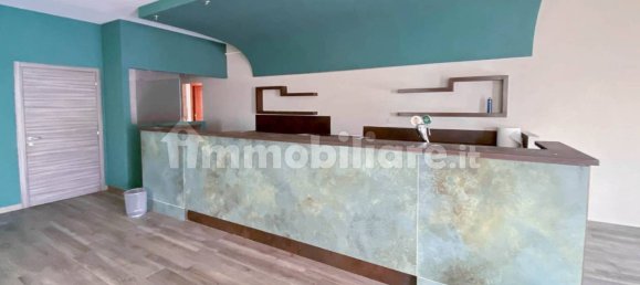 1-Zimmer Gewerbliche Immobilie in Golfo Aranci, Italy, Nr. 43761 12