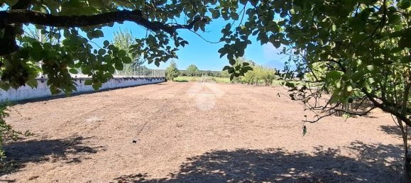 Terrain à Nocera Inferiore, Italy 2329m² No. 371392 17