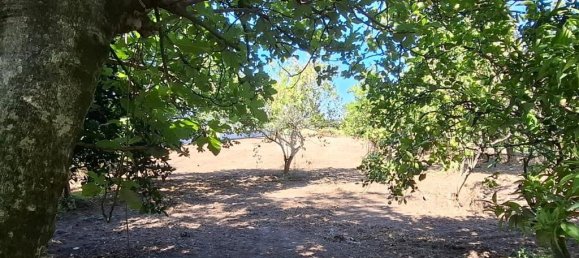 Terrain à Nocera Inferiore, Italy 2329m² No. 371392 12