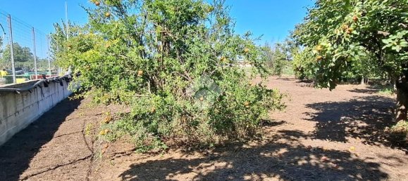 Terrain à Nocera Inferiore, Italy 2329m² No. 371392 7