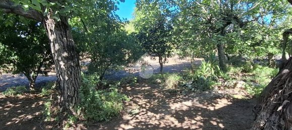 Terrain à Nocera Inferiore, Italy 2329m² No. 371392 21