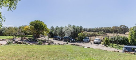 3 غرف نوم فيلا في Cerveteri, Italy رقم 359950 30