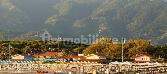 5 bedrooms Villa in Forte dei Marmi, Italy No. 188654 22