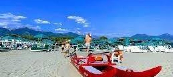 5 bedrooms Villa in Forte dei Marmi, Italy No. 188654 41