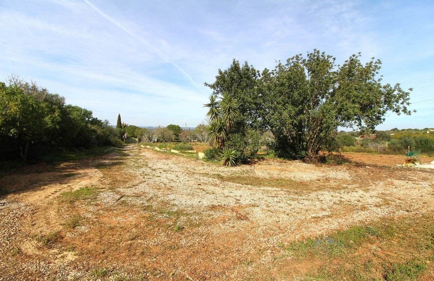 Grundstück in Lagoa, Portugal 3950m², Nr. 138001