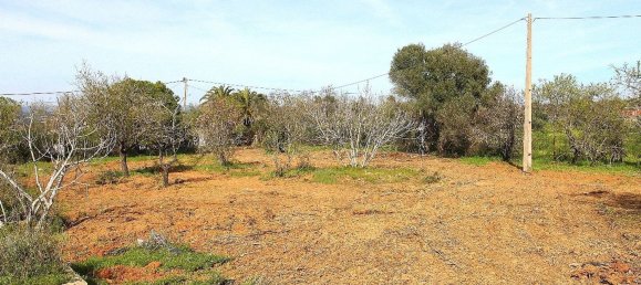 Grundstück in Lagoa, Portugal 3950m², Nr. 138001 35