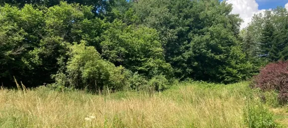 Terreno en Rhein-Sieg, Germany No. 160656 2