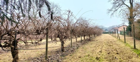 Grundstück in Ispra, Italy 4000m², Nr. 131155 24