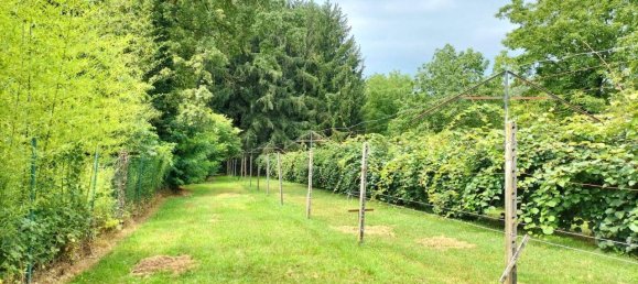 Grundstück in Ispra, Italy 4000m², Nr. 131155 7