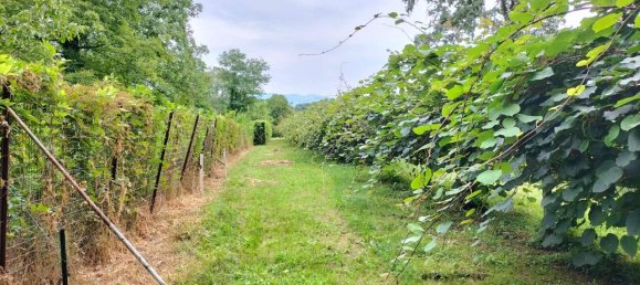 Grundstück in Ispra, Italy 4000m², Nr. 131155 11