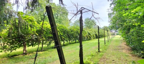 Grundstück in Ispra, Italy 4000m², Nr. 131155 8