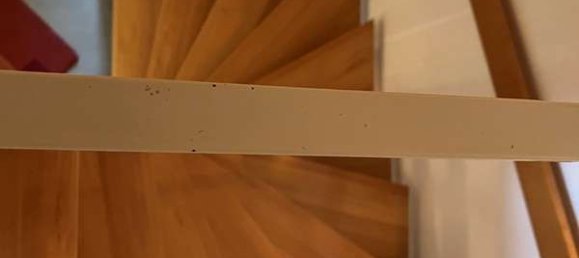 4-Zimmer Stadthaus in Schwerin, Germany, Nr. 65415 3