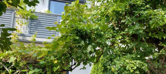 7 rooms Building in Rhein-Sieg, Germany No. 291153 5