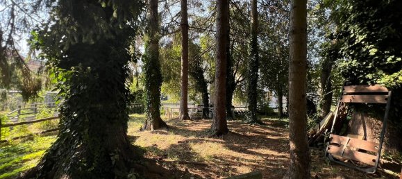 6-salle Appartement à Sassello, Italy No. 87196 6