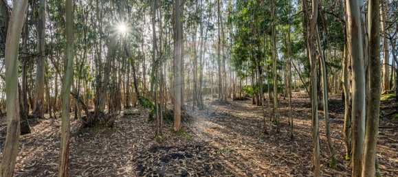 9 غرف نوم منزل في Ponte de Lima, Portugal رقم 59774 30