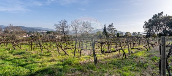 9 غرف نوم منزل في Ponte de Lima, Portugal رقم 59774 32