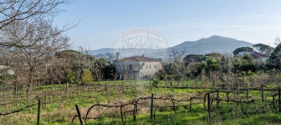 9 غرف نوم منزل في Ponte de Lima, Portugal رقم 59774 29