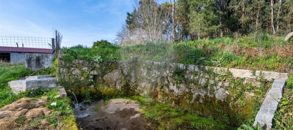 9 غرف نوم منزل في Ponte de Lima, Portugal رقم 59774 31