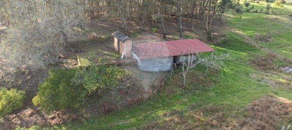 9 غرف نوم منزل في Ponte de Lima, Portugal رقم 59774 45