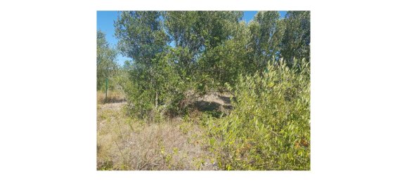 Terreno em Cascais, Portugal N.º 139556 3